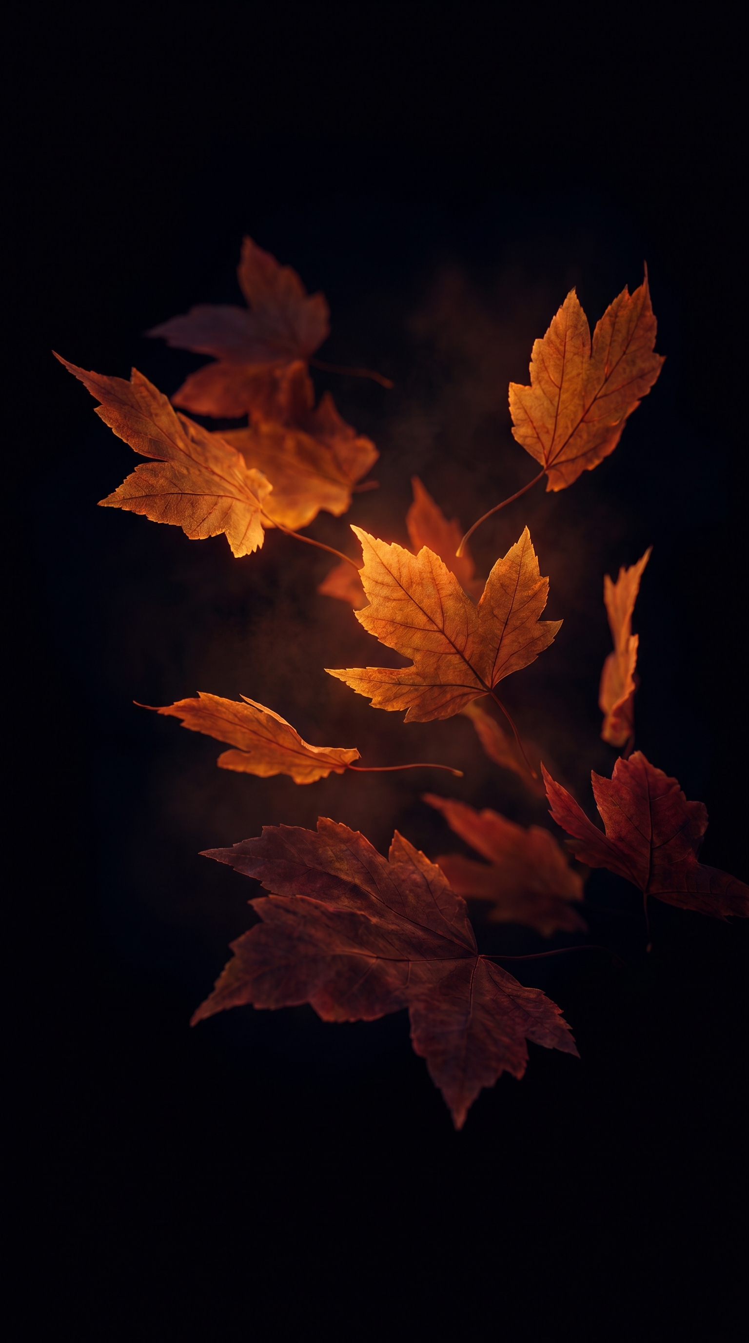 Glowing Autumn Leaves In Darkness